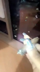 Edwina Isaacs [ edwinacarlaisaac ] Onlyfans leaked video 1377920 on Hotleaks.tv