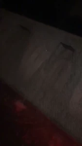 Edwina Isaacs [ edwinacarlaisaac ] Onlyfans leaked video 1378454 on Hotleaks.tv