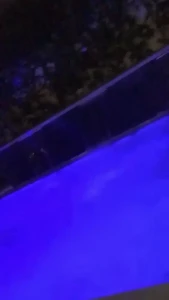 Edwina Isaacs [ edwinacarlaisaac ] Onlyfans leaked video 1378930 on Hotleaks.tv
