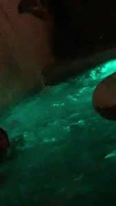 Edwina Isaacs [ edwinacarlaisaac ] Onlyfans leaked video 1378939 on Hotleaks.tv