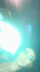 Edwina Isaacs [ edwinacarlaisaac ] Onlyfans leaked video 1378969 on Hotleaks.tv