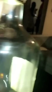 Edwina Isaacs [ edwinacarlaisaac ] Onlyfans leaked video 1379048 on Hotleaks.tv