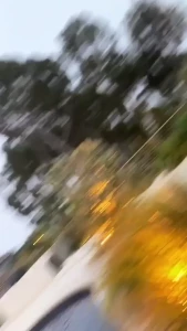 Edwina Isaacs [ edwinacarlaisaac ] Onlyfans leaked video 1379216 on Hotleaks.tv