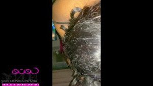 🦄CECE HUNG 🦄 [ mz_cece_hung ] Onlyfans leaked video 4419210 on Hotleaks.tv