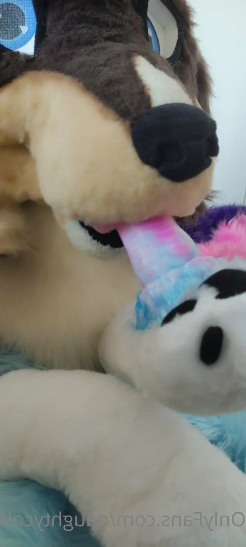 Naughty collie [ naughtycolliead ] Onlyfans leaked photo 2925957 on Hotleaks.tv