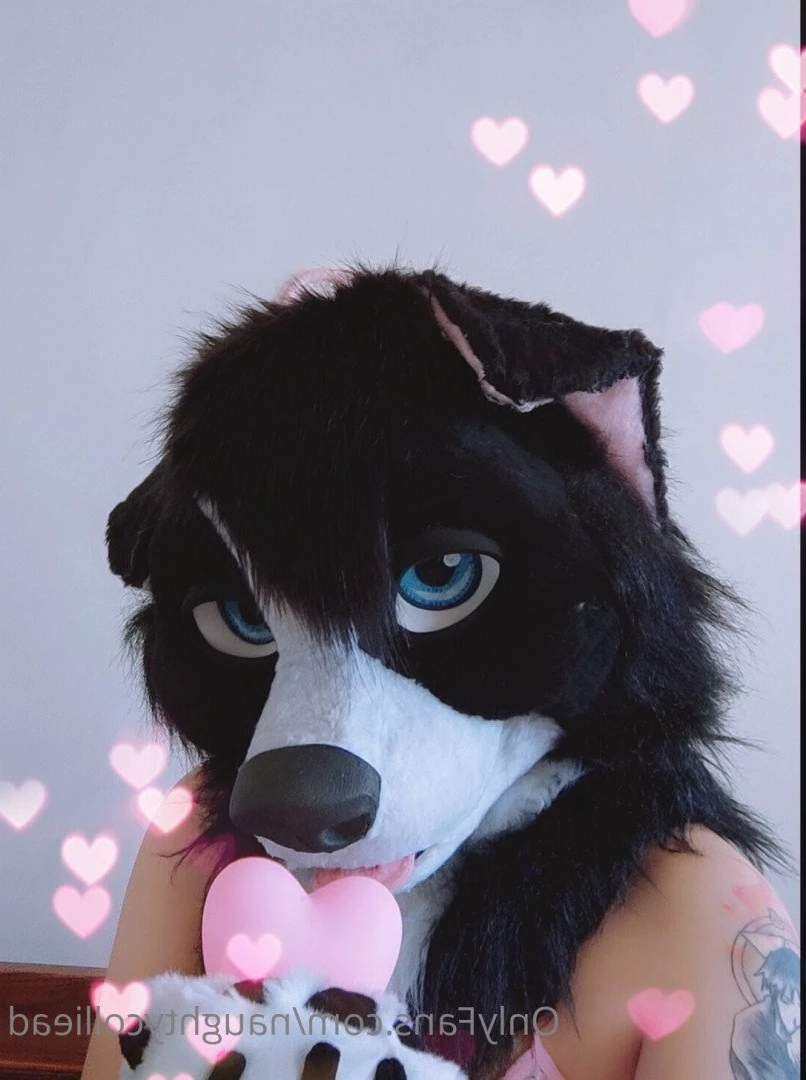 Naughty collie [ naughtycolliead ] Onlyfans leaked photo 2925966 on Hotleaks.tv