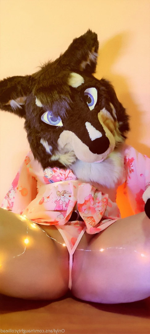 Naughty collie [ naughtycolliead ] Onlyfans leaked photo 6175481 on Hotleaks.tv