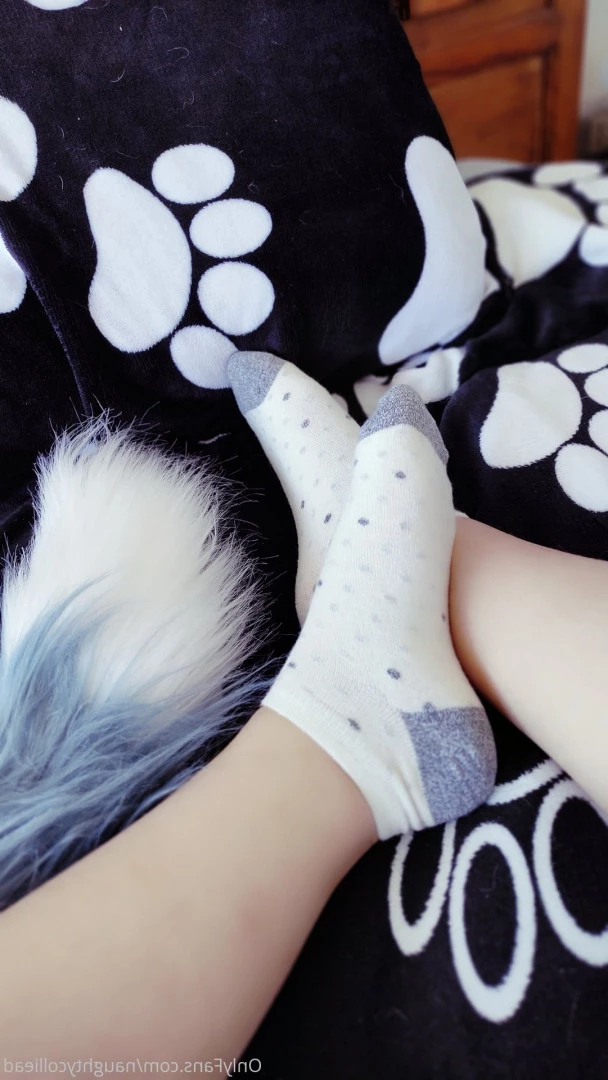 Naughty collie [ naughtycolliead ] Onlyfans leaked photo 6175544 on Hotleaks.tv