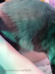 Meggii [ notmeggii ] Onlyfans leaked video 4455316 on Hotleaks.tv