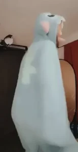 JeniferAnn [ ojeniferann ] Onlyfans leaked video 8860464 on Hotleaks.tv