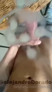 18291639
