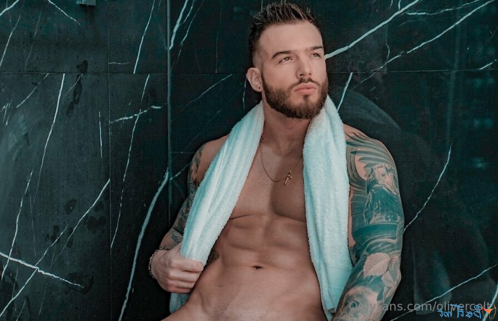 olivercolt Onlyfans leaked photo 16550539 on Hotleaks.tv