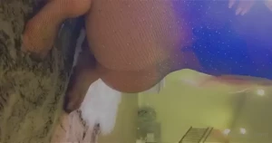 8860367