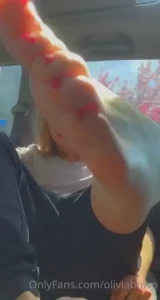18291603