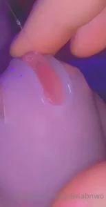 18291611
