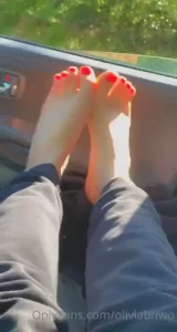 18291634