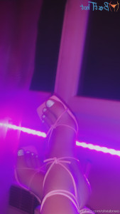 16696194