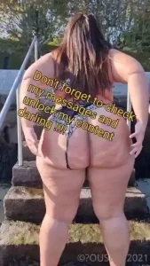 18291394