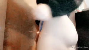 Paigey Nicole🦋 [ paigieebabieee ] Onlyfans leaked video 18291020 on Hotleaks.tv