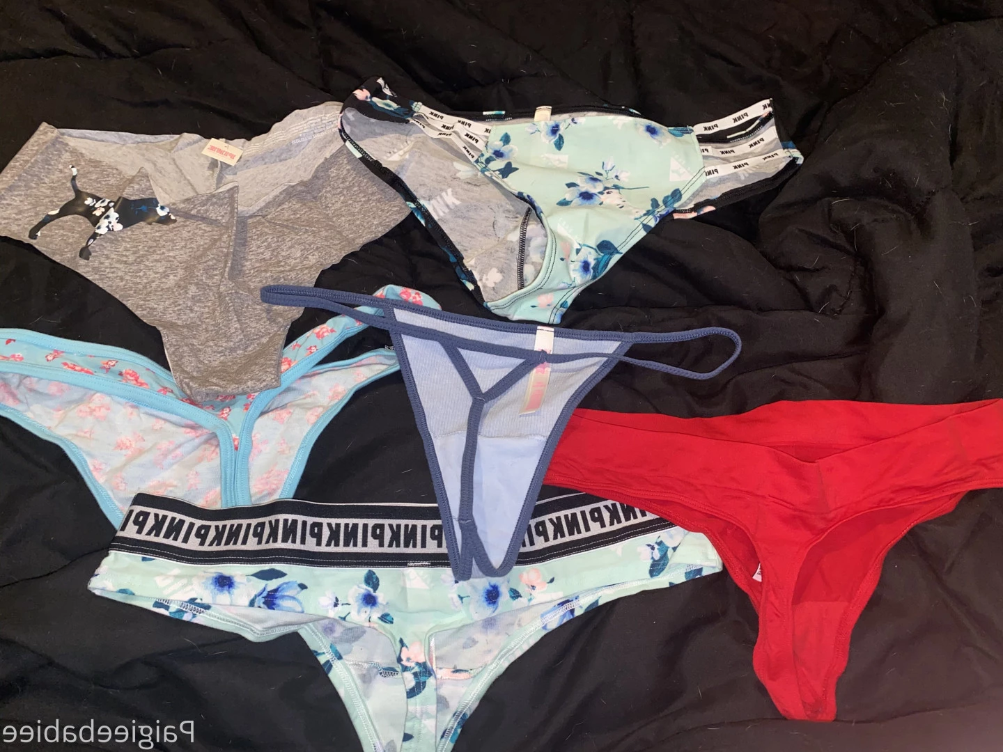 Paigey Nicole🦋 [ paigieebabieee ] Onlyfans leaked photo 5991859 on Hotleaks.tv