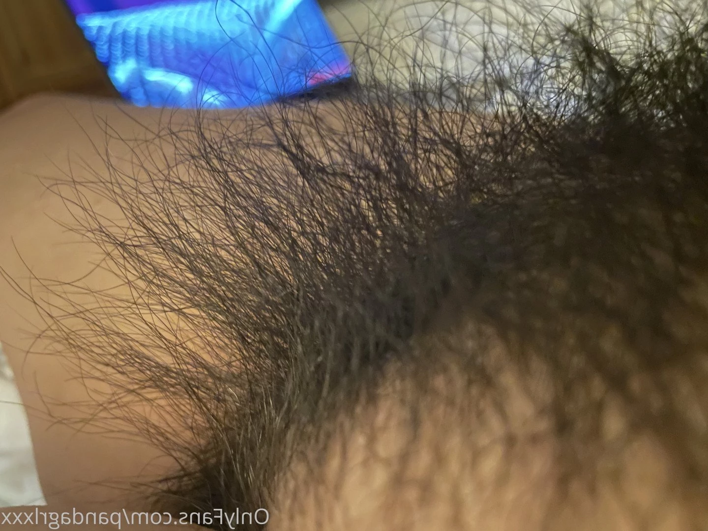 Ondrea Lee [ pandagrlxxx ] Onlyfans leaked photo 2961758 on Hotleaks.tv