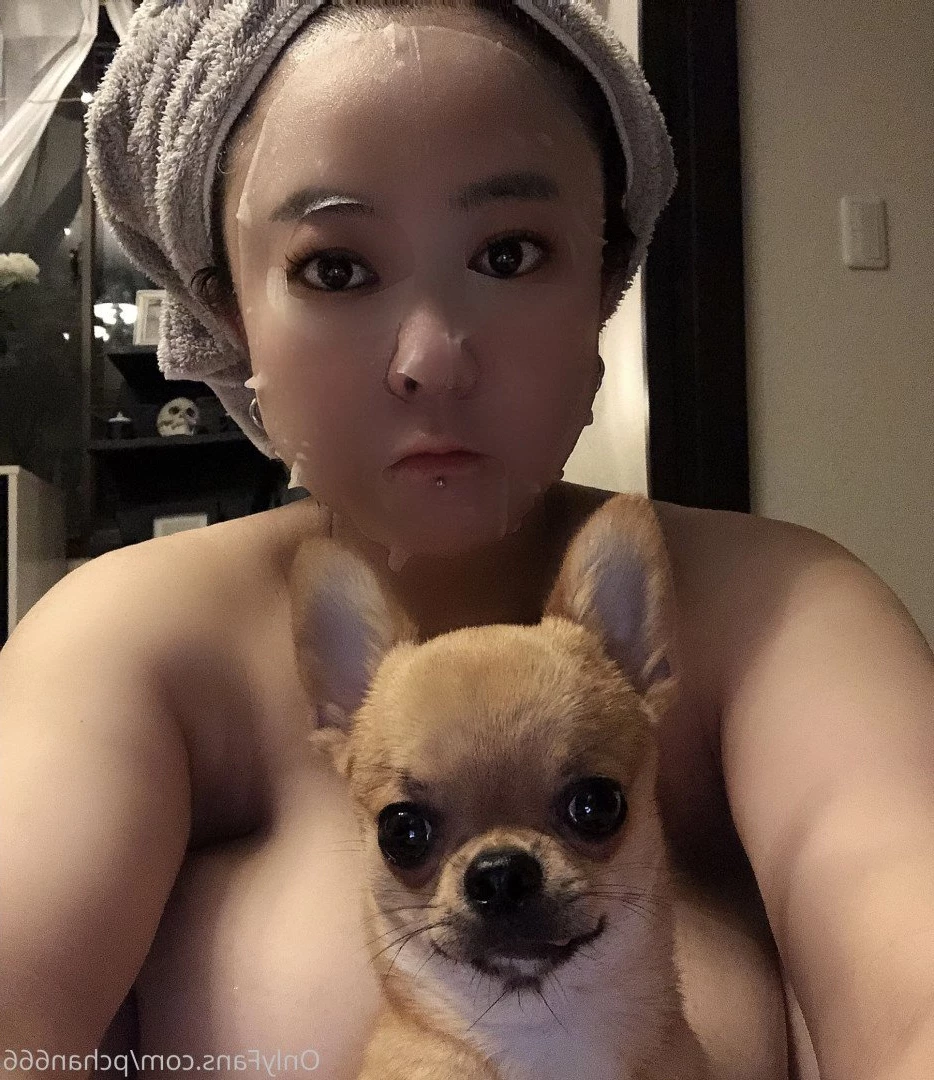 Pchan [ pchan666 ] Onlyfans leaked photo 2882916 on Hotleaks.tv