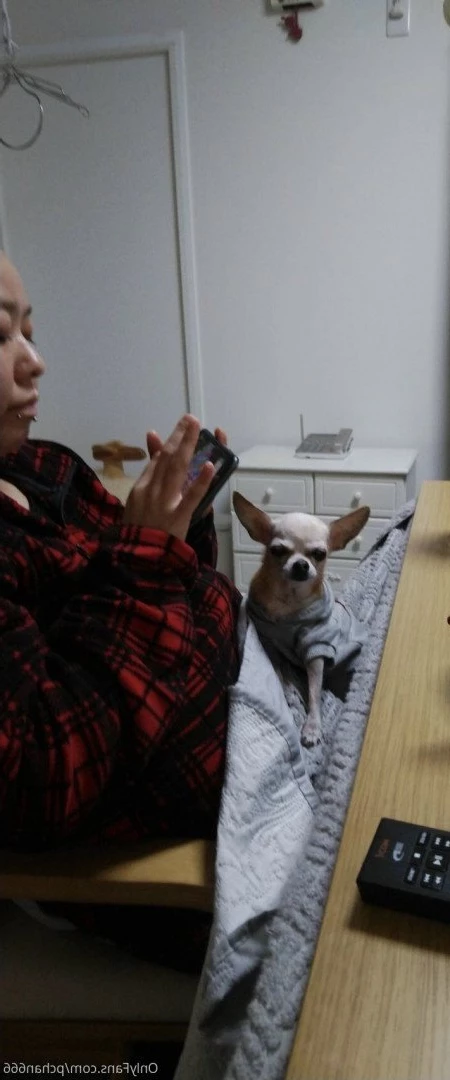 Pchan [ pchan666 ] Onlyfans leaked photo 2883032 on Hotleaks.tv