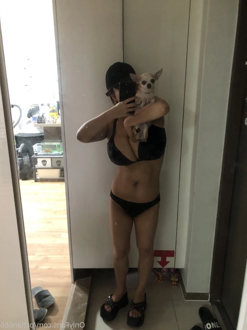 Pchan [ pchan666 ] Onlyfans leaked photo 2883696 on Hotleaks.tv