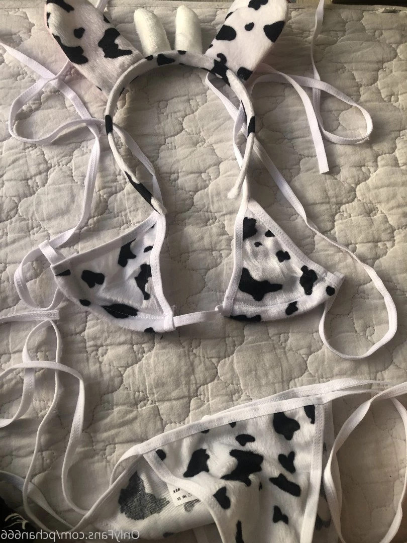 Pchan [ pchan666 ] Onlyfans leaked photo 2885064 on Hotleaks.tv