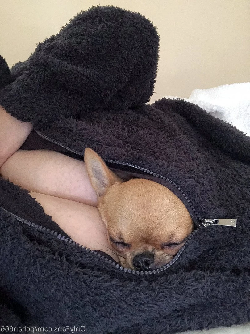 Pchan [ pchan666 ] Onlyfans leaked photo 2885335 on Hotleaks.tv