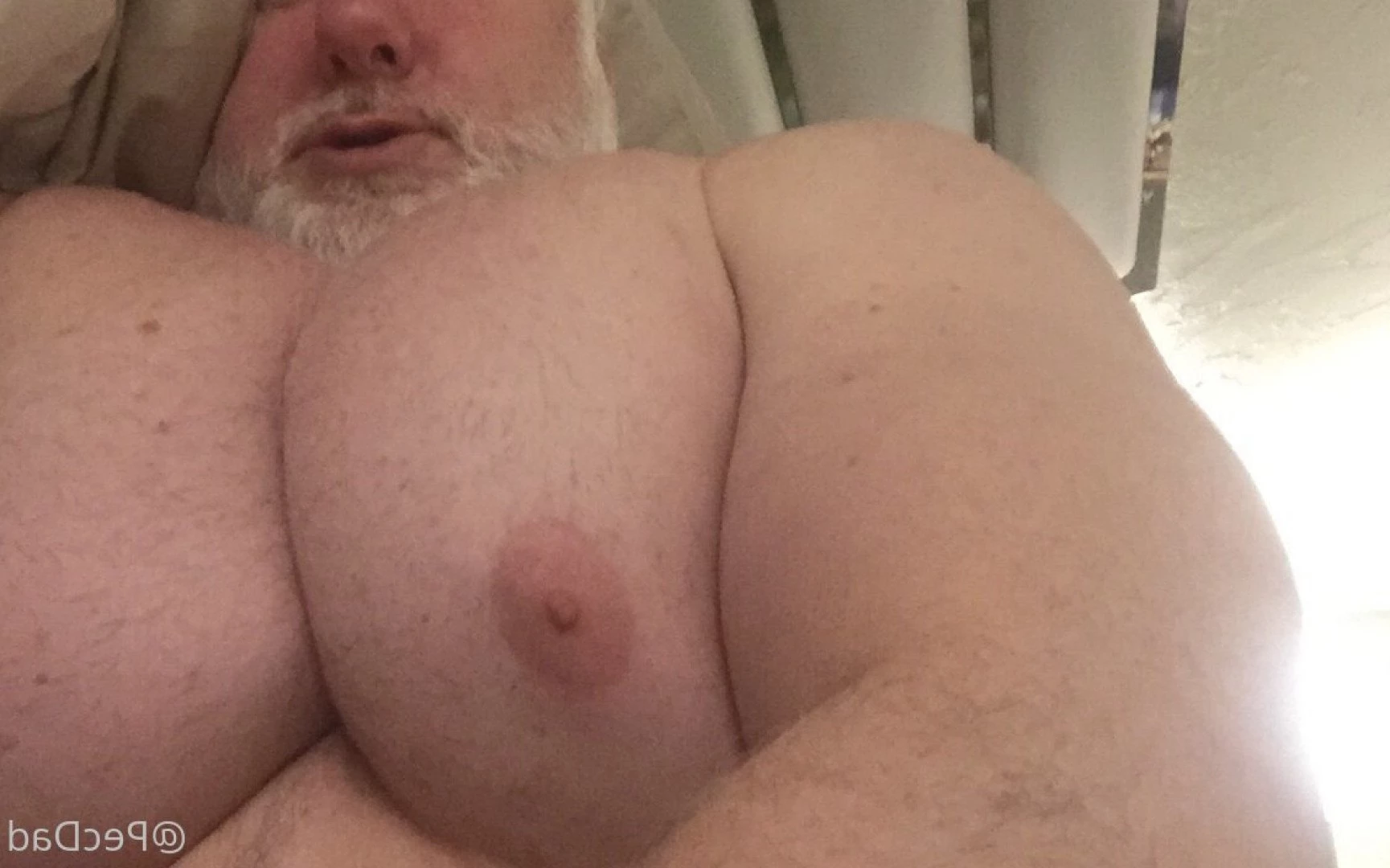 PecDad [ pecdad1 ] Onlyfans leaked photo 2881084 on Hotleaks.tv