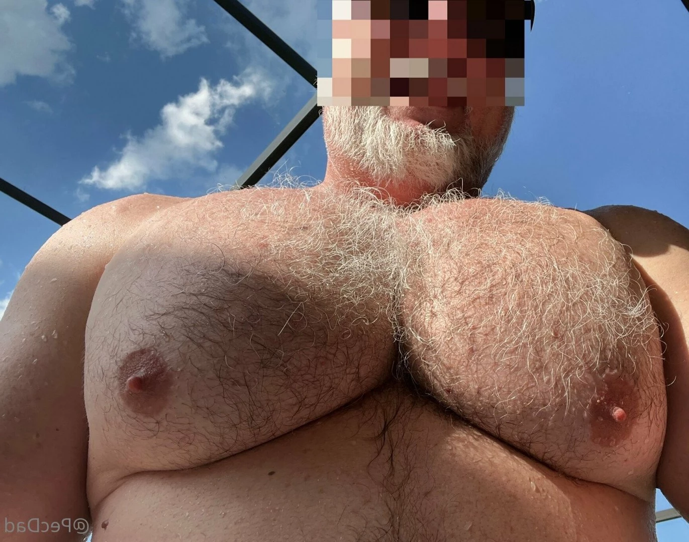 PecDad [ pecdad1 ] Onlyfans leaked photo 2881119 on Hotleaks.tv