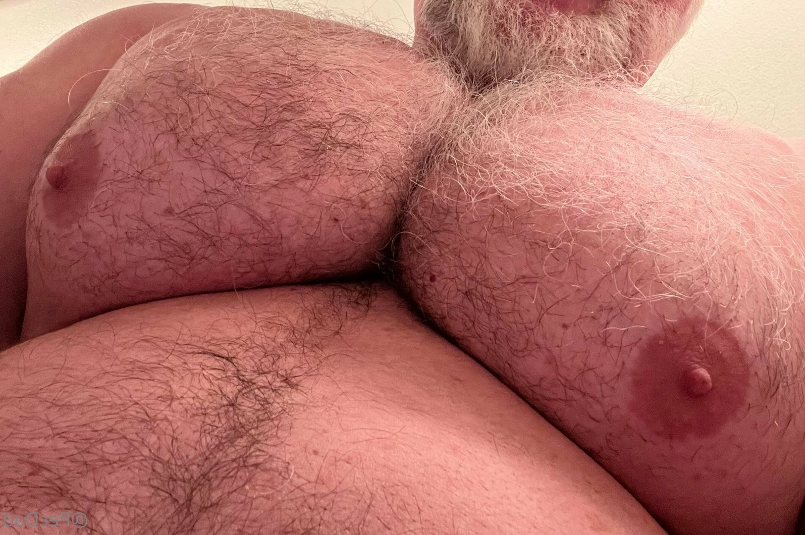PecDad [ pecdad1 ] Onlyfans leaked photo 2882258 on Hotleaks.tv