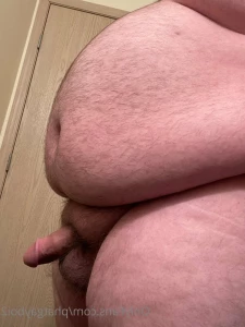 2940369