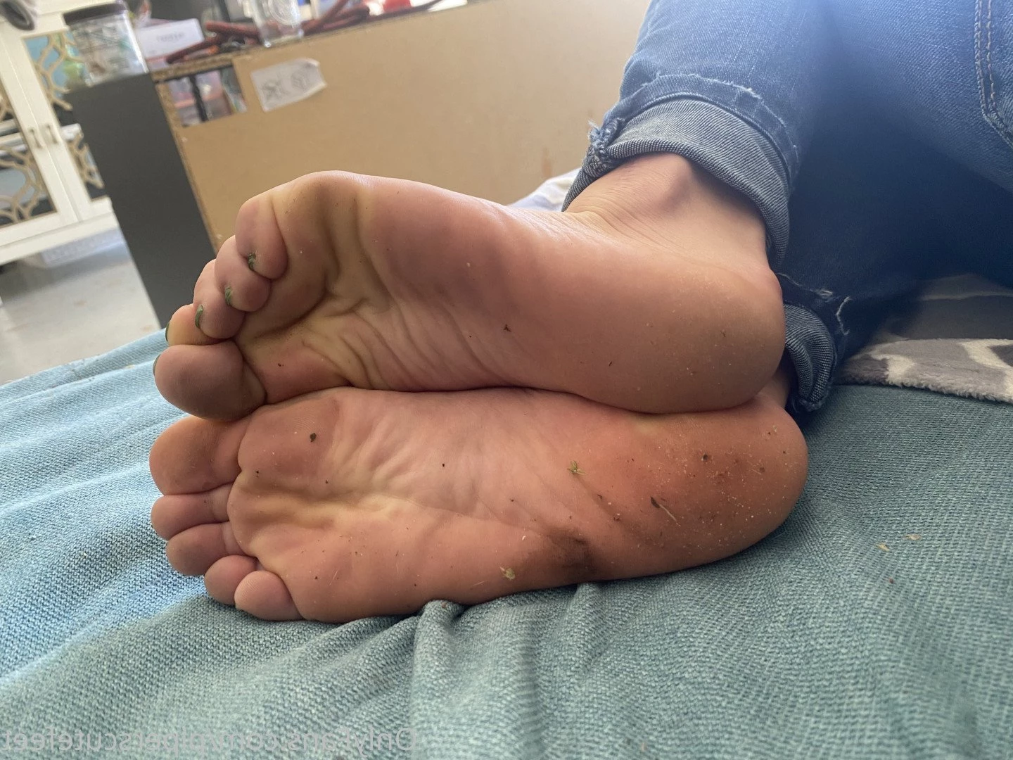 P I P E R     F O X [ piperscutefeet ] Onlyfans leaked photo 3185266 on Hotleaks.tv