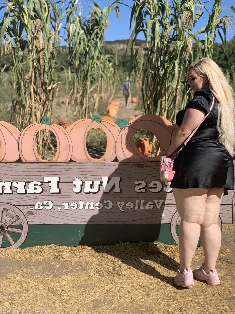 pixiechickxoxo Onlyfans leaked photo 2831504 on Hotleaks.tv