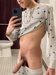 10281027