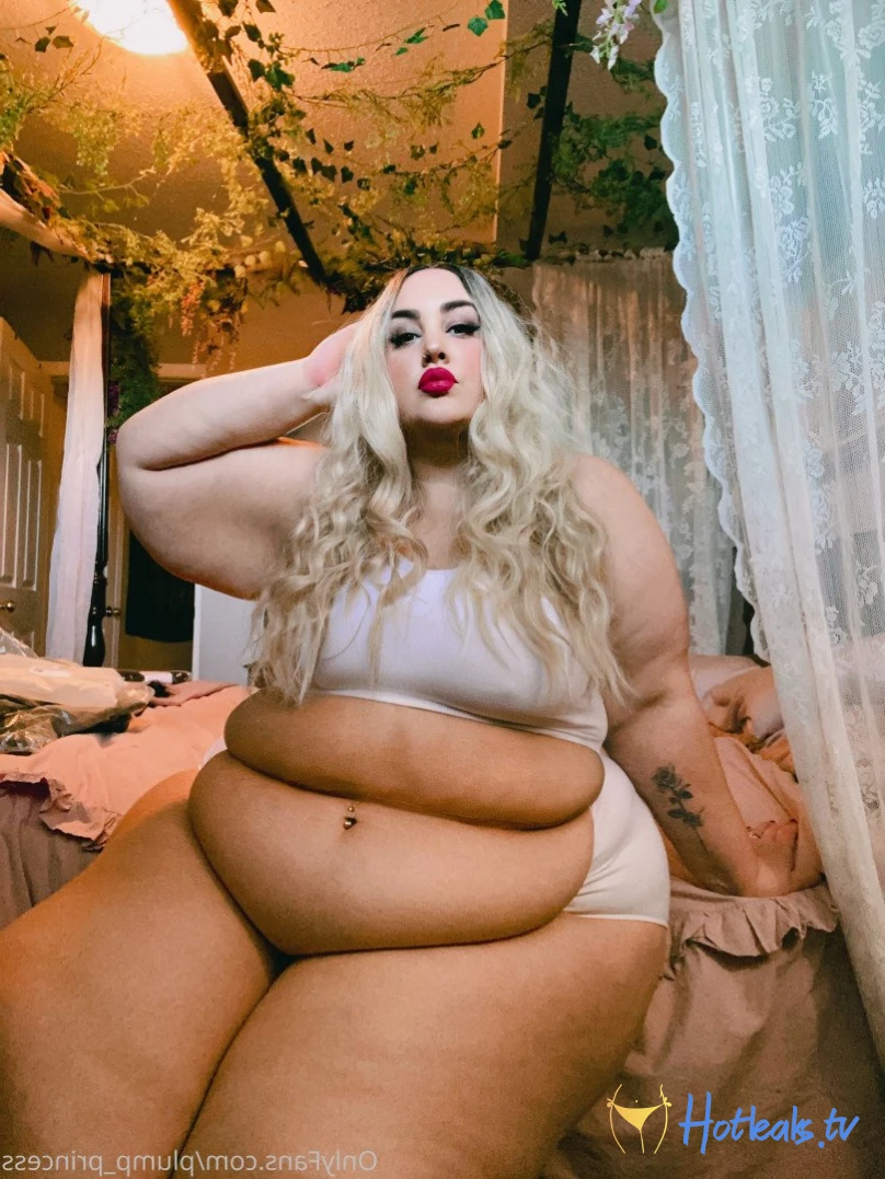 ~♡♔Plump Princess♔♡~ [ plump_princess ] Onlyfans leaked photo 2782620 on Hotleaks.tv