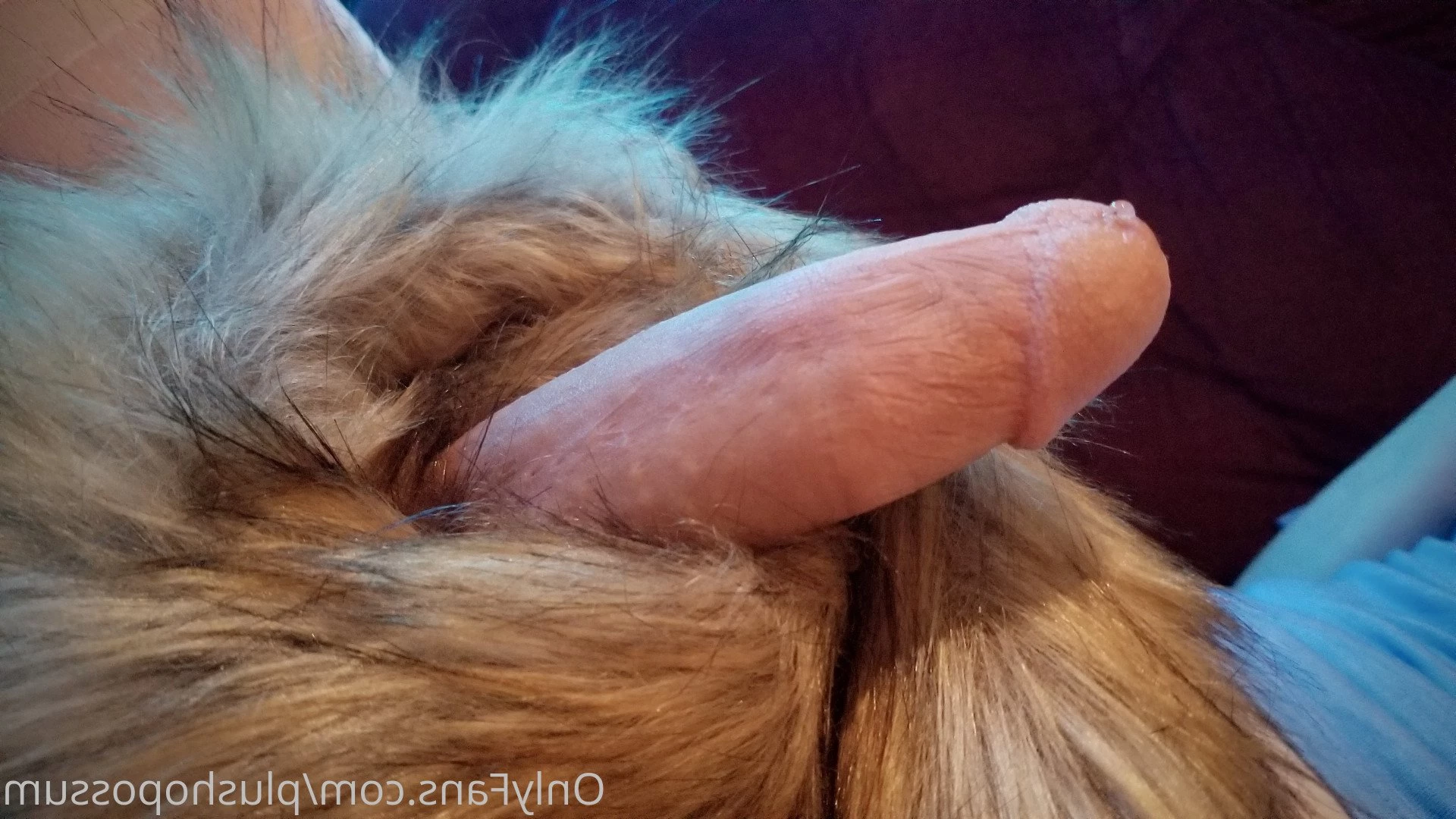 Plush Opossum [ plushopossum ] Onlyfans leaked photo 2969242 on Hotleaks.tv