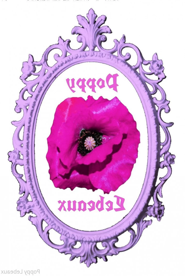 𝕻𝖔𝖕𝖕𝖞 🎀 𝕷𝖊𝖇𝖊𝖆𝖚𝖝 [ poppylebeaux ] Onlyfans leaked photo 2861720 on Hotleaks.tv