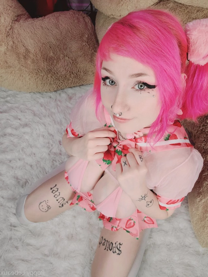 𝕻𝖔𝖕𝖕𝖞 🎀 𝕷𝖊𝖇𝖊𝖆𝖚𝖝 [ poppylebeaux ] Onlyfans leaked photo 2865841 on Hotleaks.tv