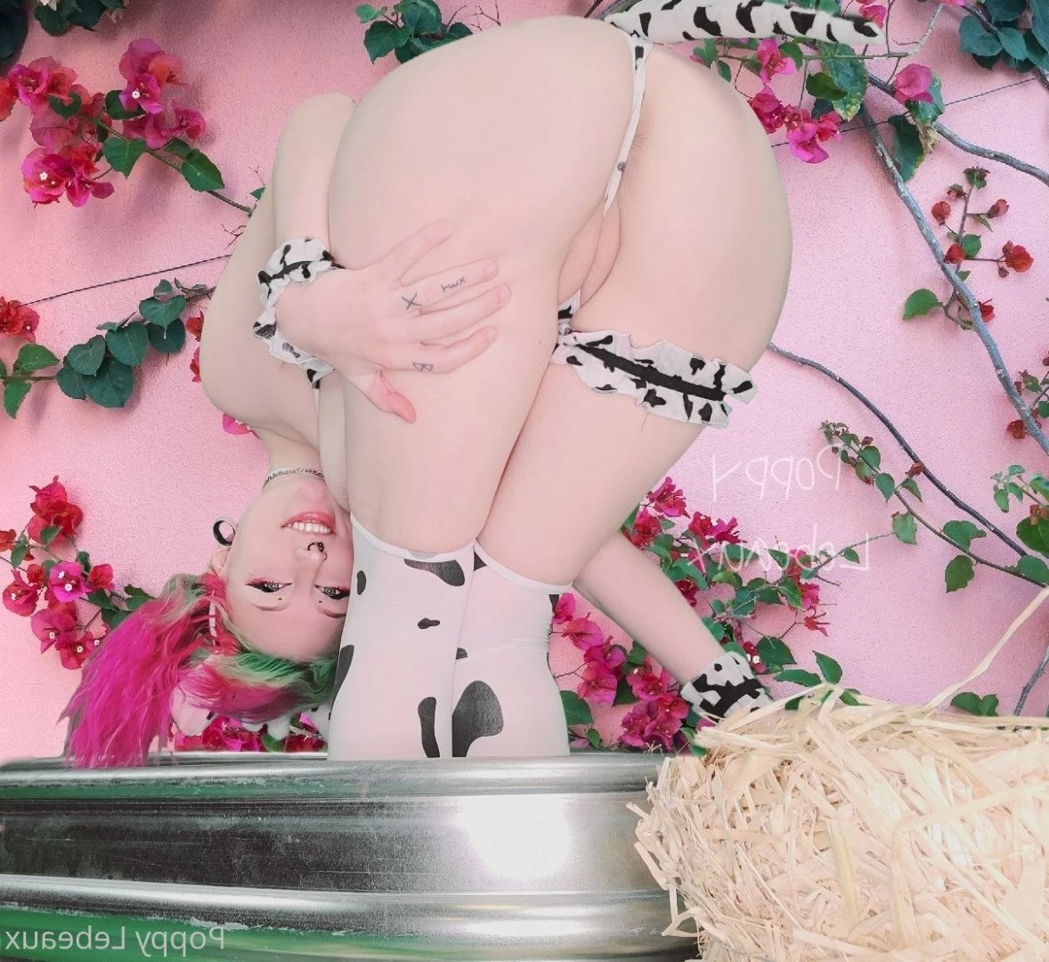 𝕻𝖔𝖕𝖕𝖞 🎀 𝕷𝖊𝖇𝖊𝖆𝖚𝖝 [ poppylebeaux ] Onlyfans leaked photo 2867841 on Hotleaks.tv