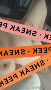 14162503