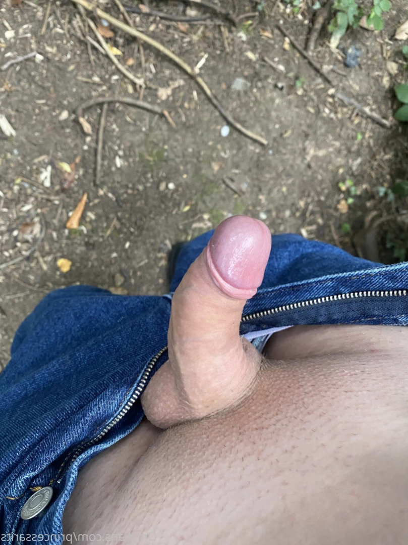 Princess Ari [ princessarits ] Onlyfans leaked photo 12562808 on Hotleaks.tv