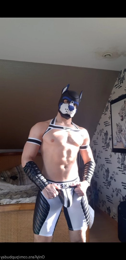 pupbuday Onlyfans leaked photo 2874988 on Hotleaks.tv