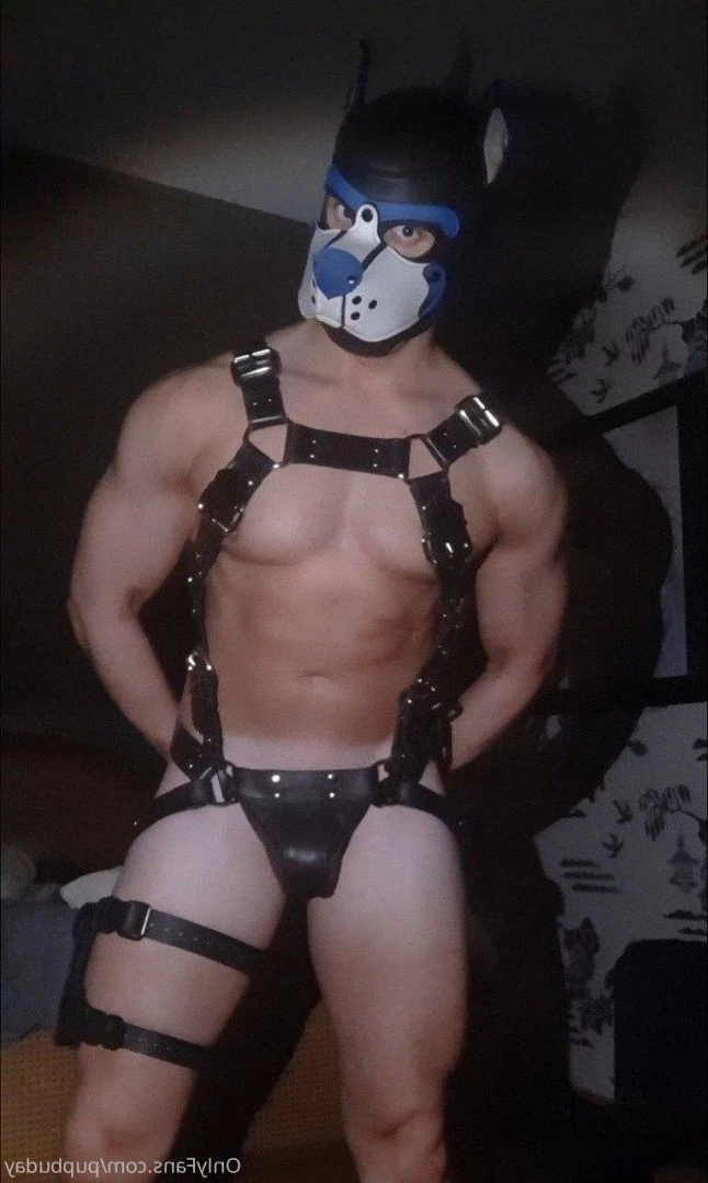 pupbuday Onlyfans leaked photo 2876699 on Hotleaks.tv