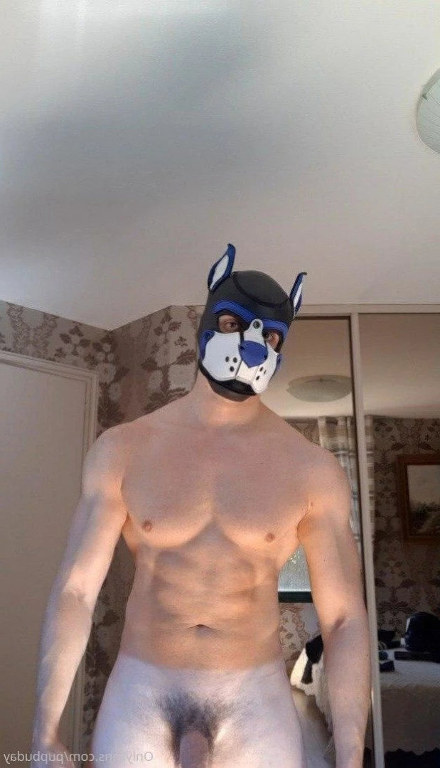 pupbuday Onlyfans leaked photo 2877645 on Hotleaks.tv