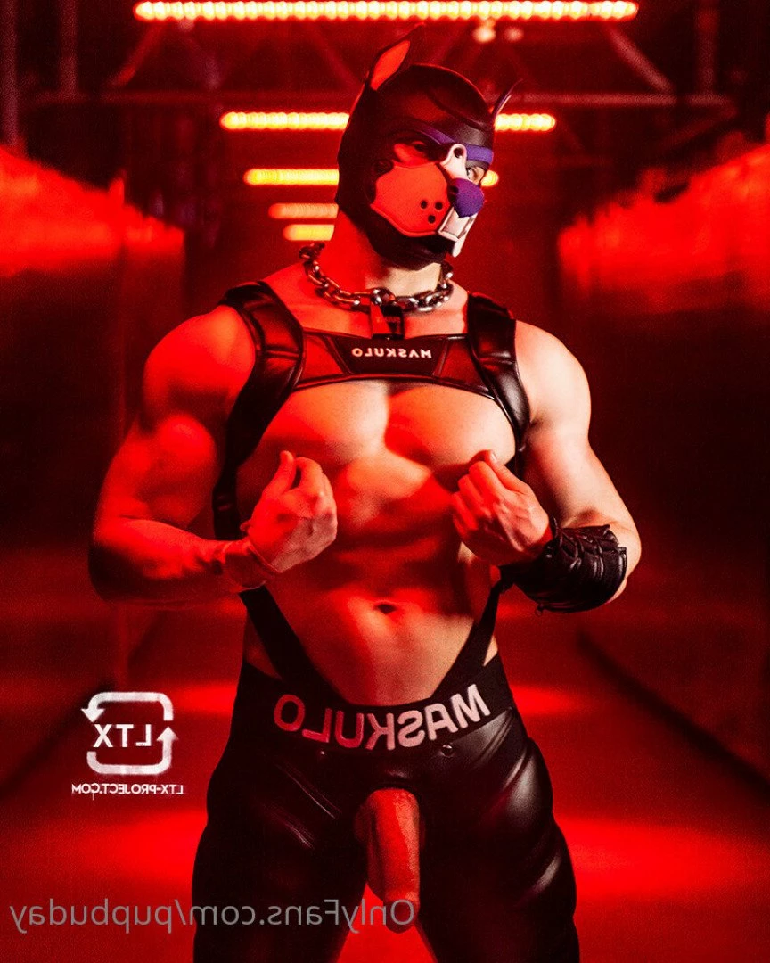 pupbuday Onlyfans leaked photo 2878836 on Hotleaks.tv