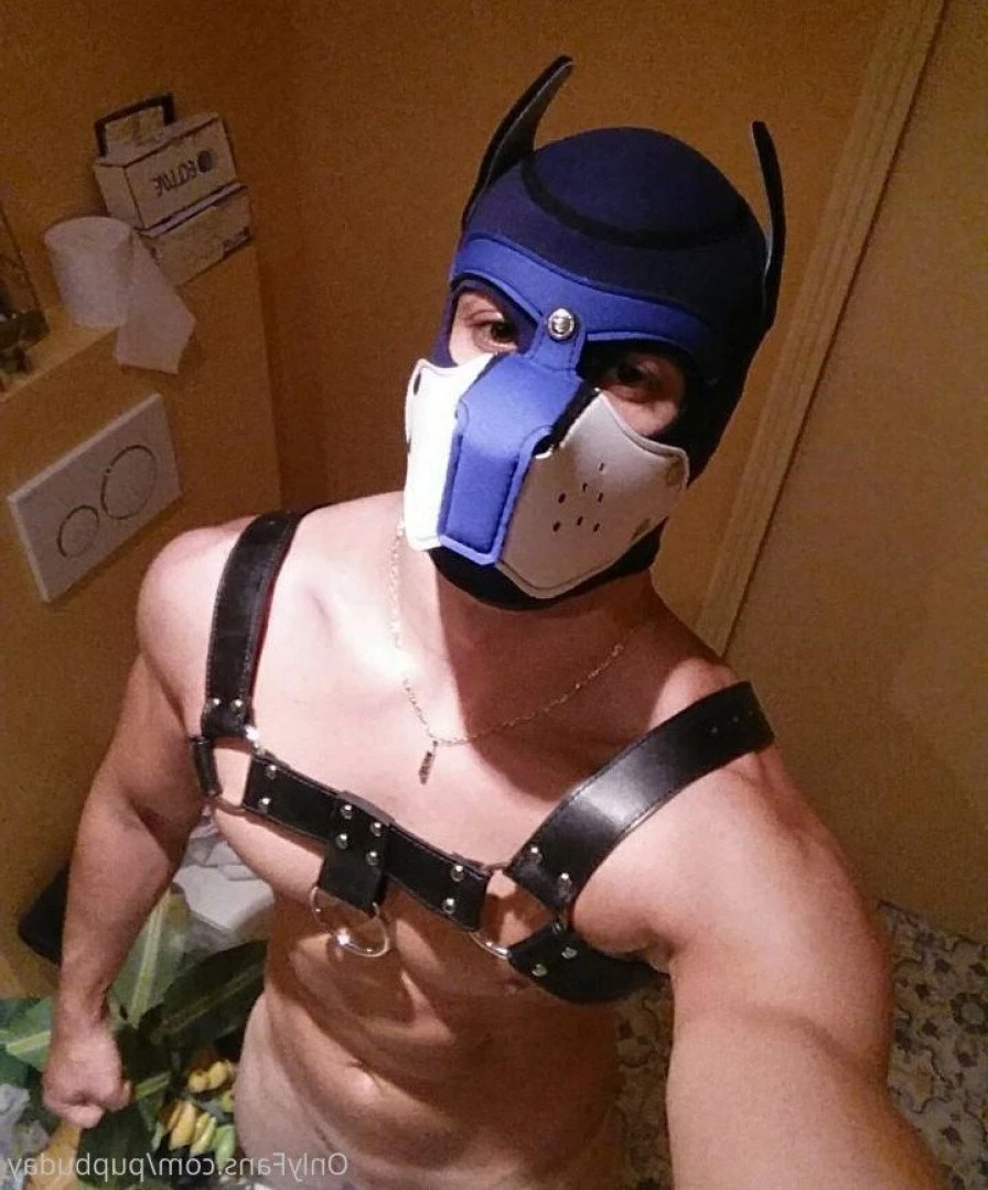pupbuday Onlyfans leaked photo 2879044 on Hotleaks.tv