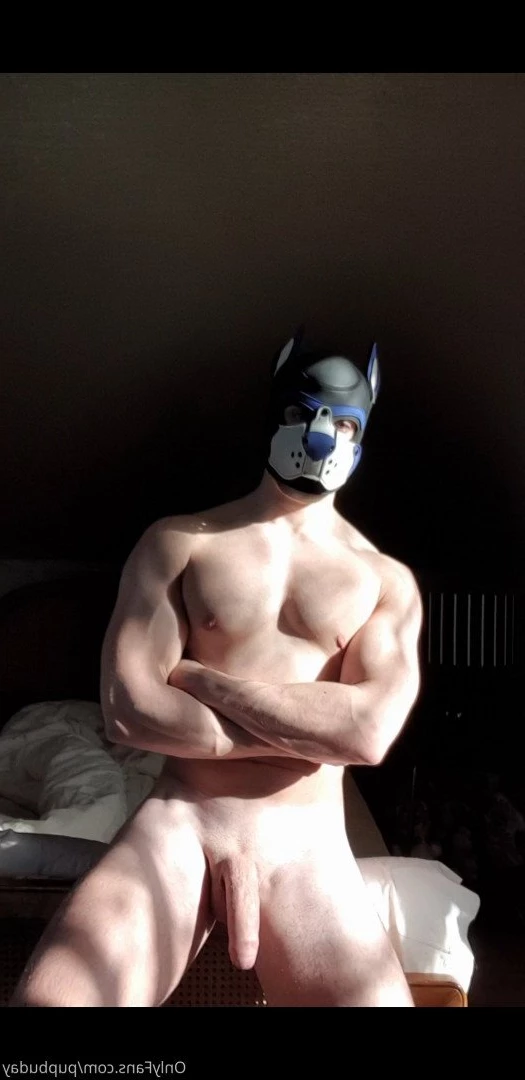 pupbuday Onlyfans leaked photo 2879095 on Hotleaks.tv